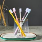 Plastic Toothbrush With Plastic Round Box (20 pcs Set) - Image 3
