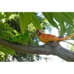 Tropical Macaw Parrot Wall Statue/Hanging Figurine - Vibrant Orange & Yellow Resin Sculpture - Exotic Bird Decor for Garden, Patio or Home - Image 5